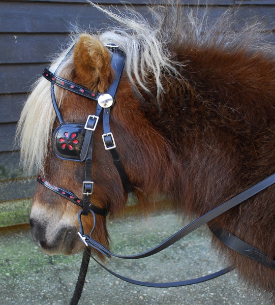 Windsor Miniature Leather Harness